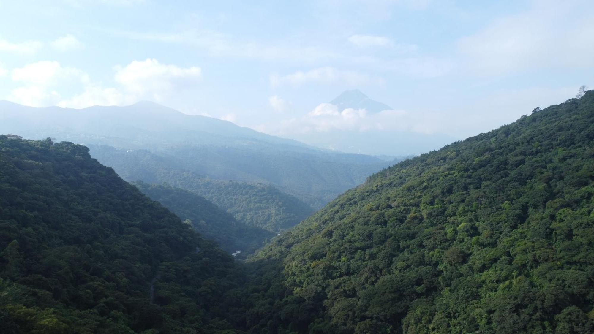 Finca San Mateo - Private Luxury Coffee Estate In Antigua Guatemala Ngoại thất bức ảnh